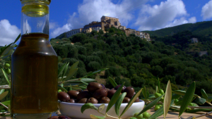 Oleoturismo: arriva a Controne il progetto itinerante di AIC Salerno e CESIT