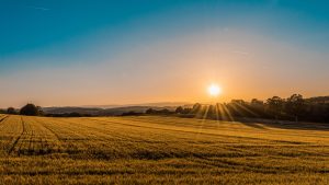 Agricolae: Agricoltura, report Aic-Openpolis: – 30% imprese agricole in dieci anni, 5,4% paese a rischio alluvione