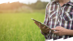 Agricoltura, AIC: Legge Giovani giusta direzione, servono più risorse