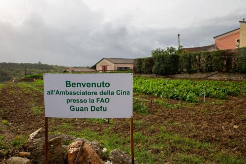 Agro-tour di S.E. Guang Defu in Calabria